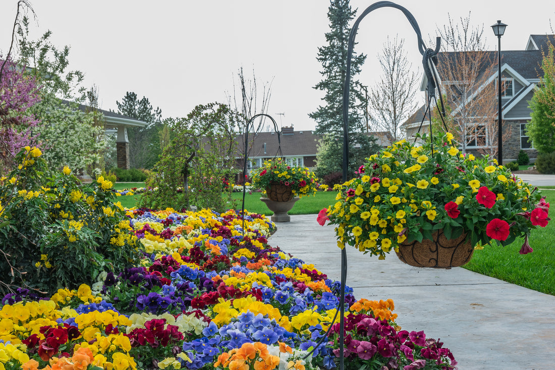 Annual flower garden landscape